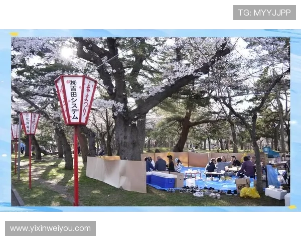 肚利船与大板樱花的精彩对决揭示了传统与现代的完美融合之美 肚利船与大板樱花的精彩对决揭示了传统与现代的完美融合之美