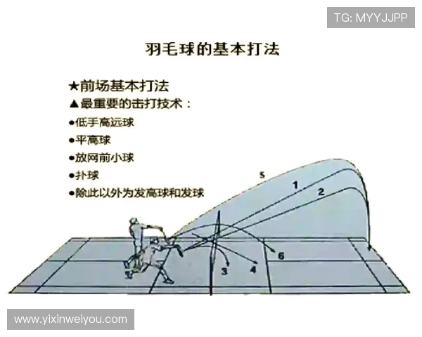 北京羽毛球队灵活性分析：数据揭示运动员表现与战术调整的关系