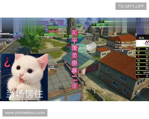 和平精英评论：TES快攻策略的成功与不足分析