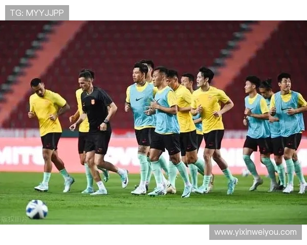 成都排球队以95分领跑精英赛积分榜展现强劲实力和竞争优势