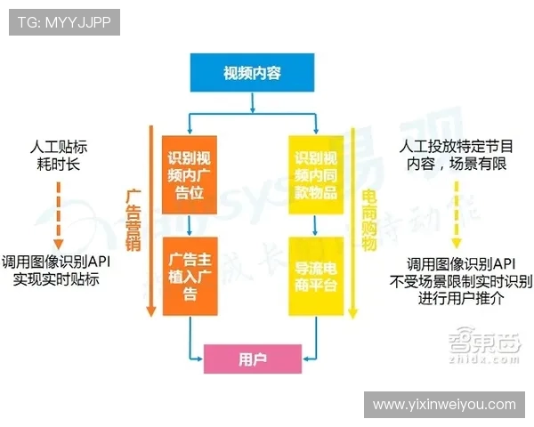 独家解析：WE团队协作模式的优势与不足全面对比分析