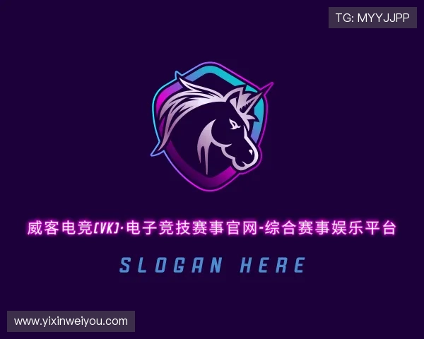 关于&#x5a01;&#x5ba2;&#x7535;&#x7ade;